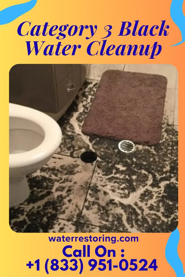 Category 3 Black Water Cleanup in Slippery Rock University, PA