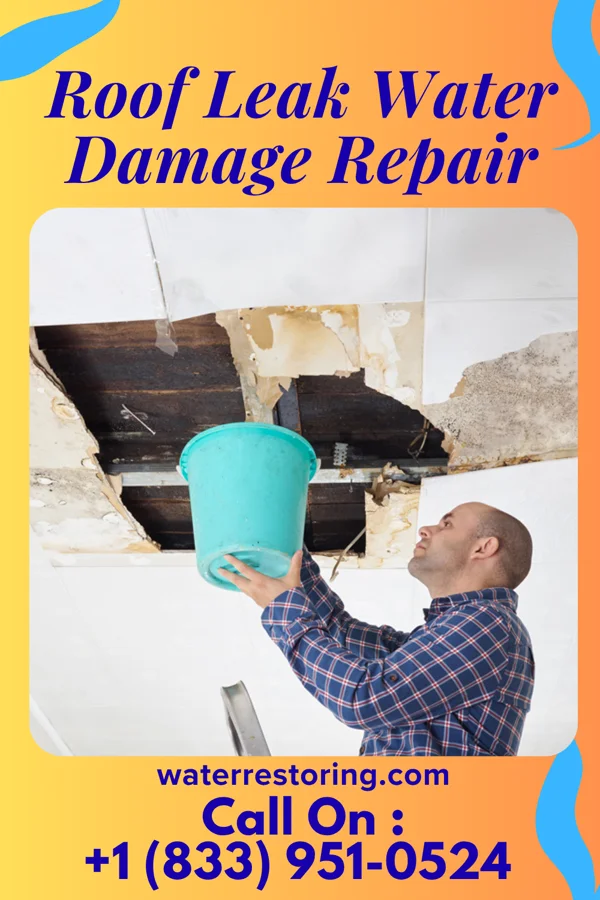 Roof Leak Water Damage Repair in Slippery Rock University, PA