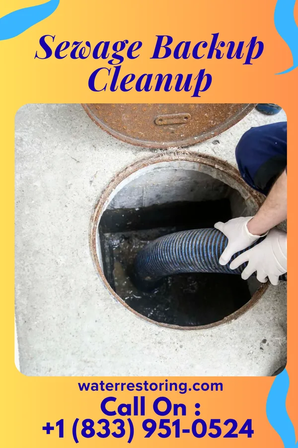 Sewage Backup Cleanup in Slippery Rock University, PA